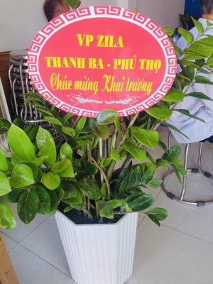 Văn Phòng Zila Thanh Ba - Phú Thọ tặng quà chúc mừng văn phòng Zila Bảo yên - Lào Cai